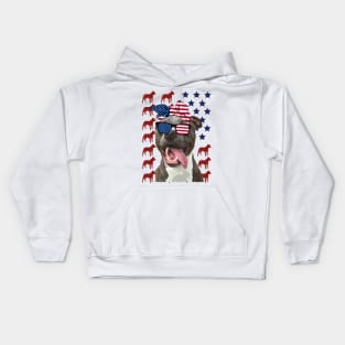 Pitbull American Flag Independence Day Gift Kids Hoodie